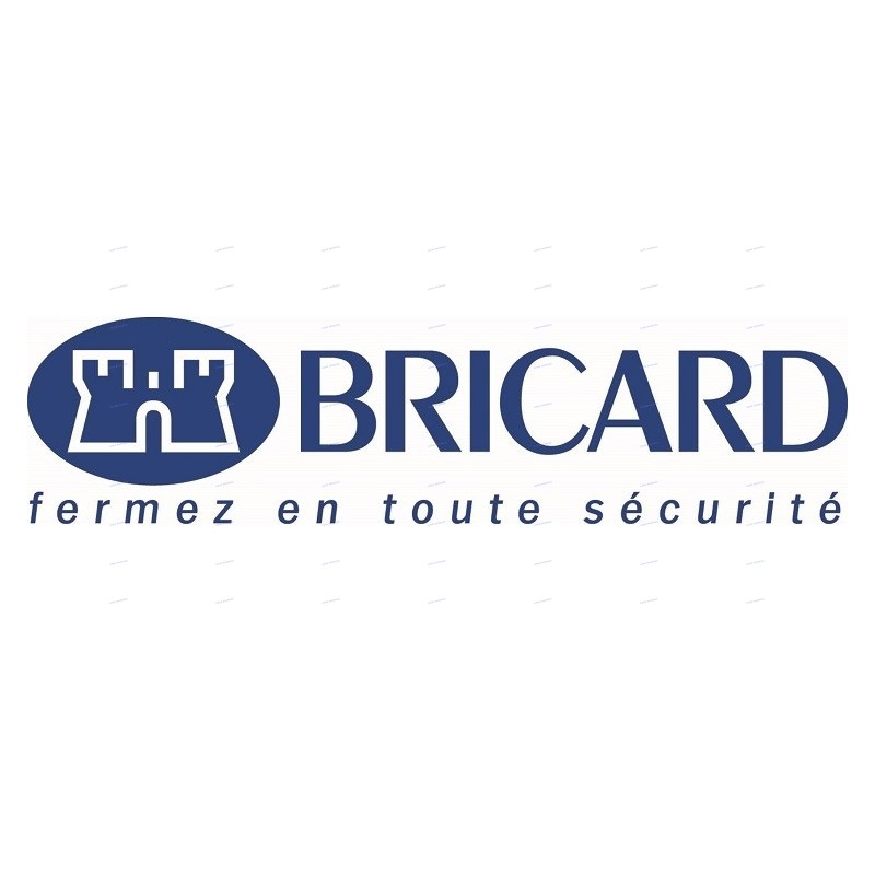 BRICARD 310010